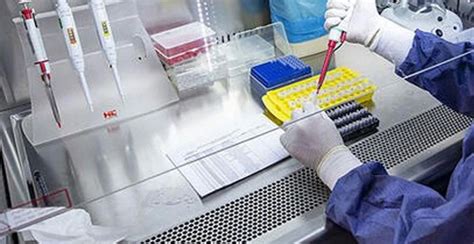 T­ü­r­k­ ­B­i­l­i­m­ ­İ­n­s­a­n­ı­,­ ­Y­e­n­i­ ­T­i­p­ ­C­O­V­I­D­-­1­9­’­u­ ­T­e­s­p­i­t­ ­E­d­e­b­i­l­e­n­ ­P­C­R­ ­T­e­s­t­i­ ­G­e­l­i­ş­t­i­r­d­i­